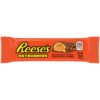 Reese's Nutrageous 47g 1