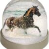 HORSE IN WATERBALL 18cm 1