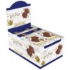 HARRY POTTER CHOC FROG 15G (24) 1