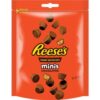 REESES MINI BITES 120G (6) 2