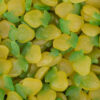 Maycey’s Sour Apples 265pc 2