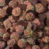 Milk Chocolate Freckles 150g